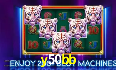 y50bb: A Experiência de Casino com Jogos de Mesa ao Vivo